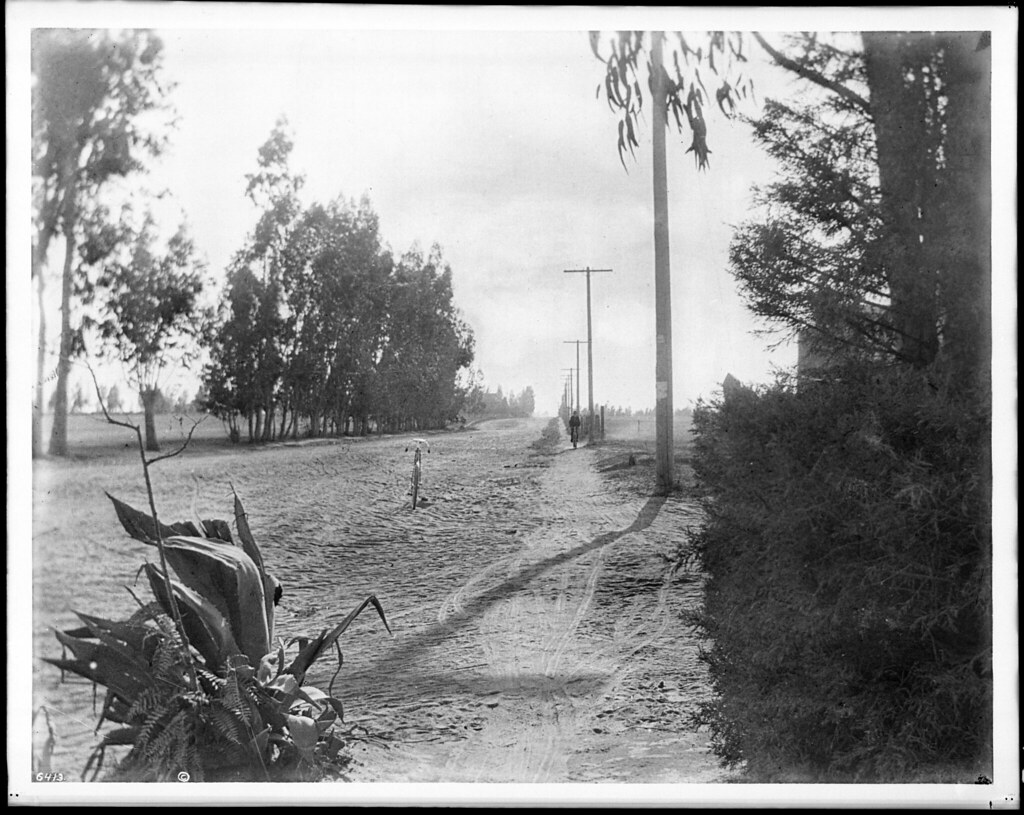 Santa Monica Cycle Path on Washington Boulevard at Western Avenue, looking west, Los Angeles, June 1900 (CHS-6413), Los Angeles