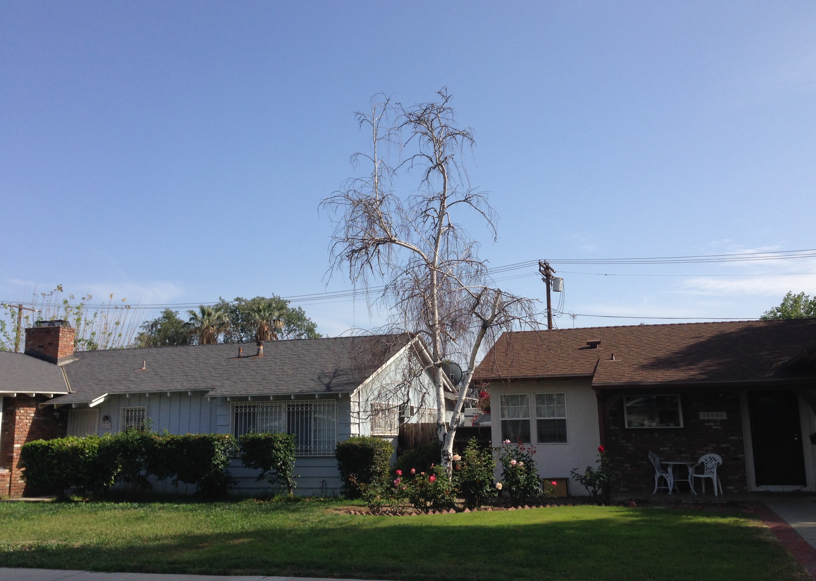 North Hills, Los Angeles, CA, USA - panoramio (1), Los Angeles